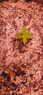 20230119_050458.jpg