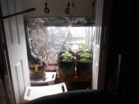 DSCN1010.jpg