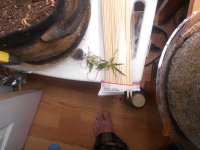 DSCN1062.jpg