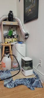 20230131_045306.jpg