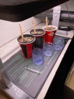 IMG_7313.jpg
