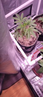 20230208_045258.jpg