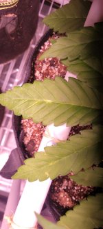 20230208_045359.jpg