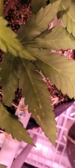 20230208_045353.jpg