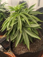 folds.jpg