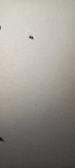 20230319_181703.jpg