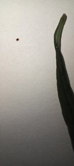 20230319_181716.jpg
