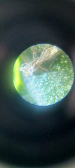 20230321_105008.jpg