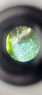 20230321_105015.jpg