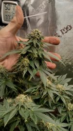 IMG_20230322_174216_HDR[1].jpg