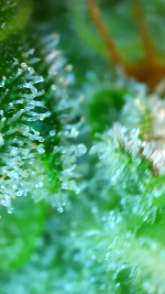 2023_04_21_04_26_15_417.png