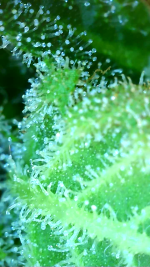 2023_04_21_04_26_29_104.png
