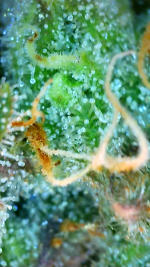 2023_04_21_04_23_52_889.png