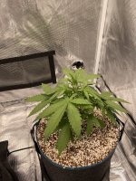 IMG_3493.jpg