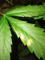 20230514_220810[1].jpg