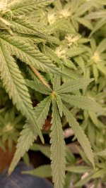 IMG_20230528_174113_HDR[1].jpg