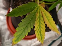 day554.jpg