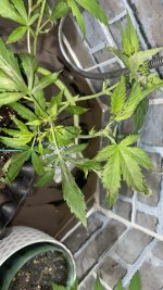 IMG_6228.jpg