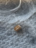 04878297-2F26-456D-AB41-7997E2C79B3F.jpg