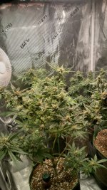 IMG_20230617_133451_HDR[1].jpg