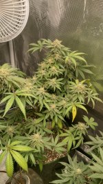 IMG_20230617_133322_HDR[1].jpg
