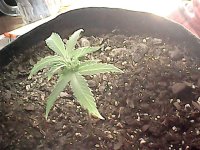 WIN_20230627_10_37_30_Pro.jpg