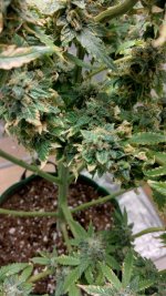 IMG_20230704_093057_HDR[1].jpg