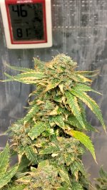 IMG_20230707_110639_HDR[1].jpg
