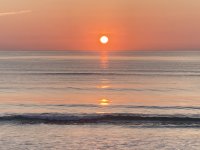 IMG_4666.jpg