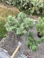 F02AE6E3-72F1-4220-839B-BCB3DD678A20.jpg