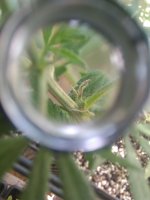 IMG_20230801_103810_853.jpg