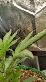 IMG_20230803_112851_HDR[1].jpg