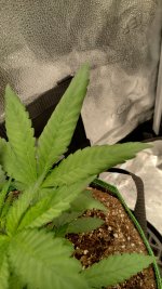 IMG_20230803_112832_HDR[1].jpg
