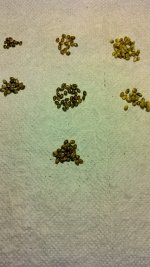 IMG_20230803_132922_HDR[1].jpg