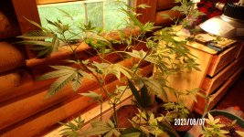 100_0174.jpg