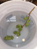 20230811_120541.jpg