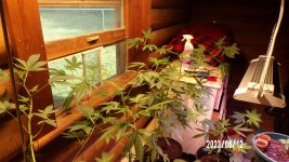 100_0176.jpg