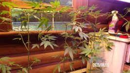 100_0179.jpg