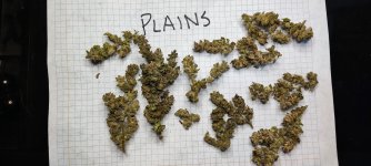 IMG_20230813_194707.jpg