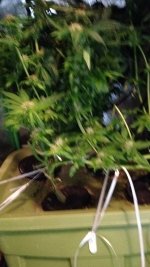 IMG_0831.JPG