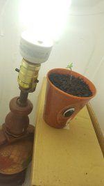 20170425_191641.jpg