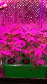 20170427_193359.jpg