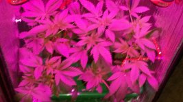 20170427_193412.jpg