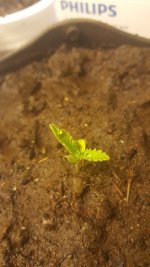 20170428_215415.jpg