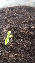 20170429_151646.jpg