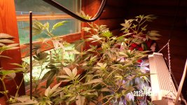 100_0181.jpg