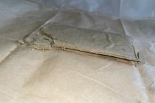 IMG_0334.jpg