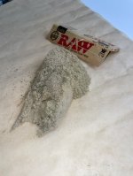 IMG_0332.jpg