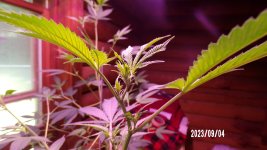 100_0191.jpg