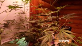 100_0202.jpg